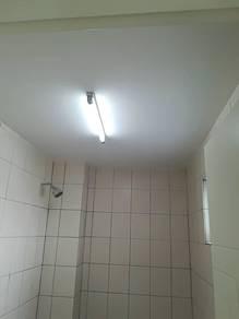 Photo #7