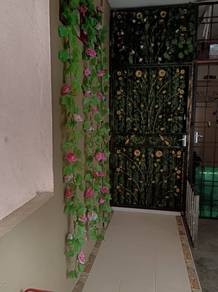 Photo #6