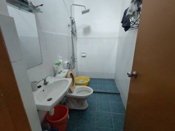 Photo #5