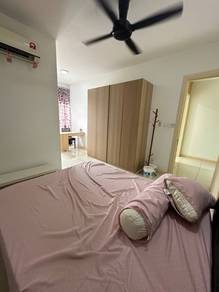 Photo #8