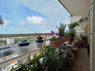 Photo #8