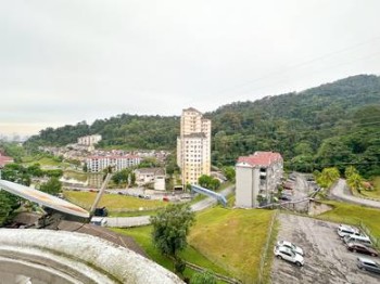 Photo #2