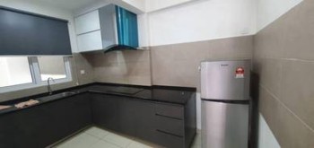 Photo #6