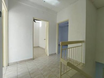 Photo #5