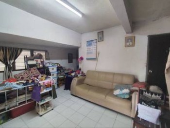 Photo #8