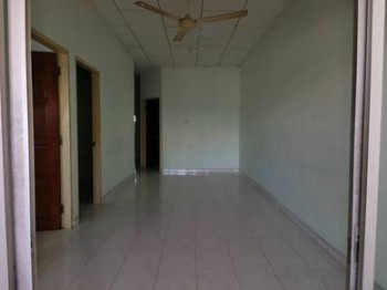 Photo #6