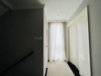 Photo #8