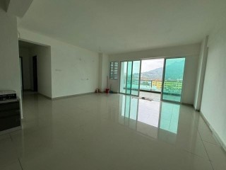 Photo #3