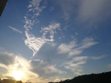 Photo #4