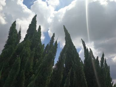 Photo #5