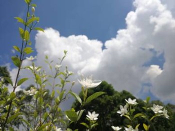 Photo #6