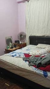 Photo #8