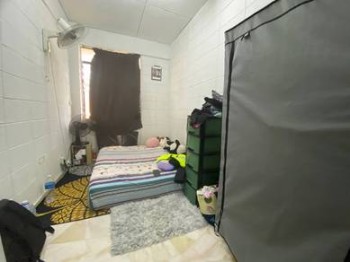 Photo #7