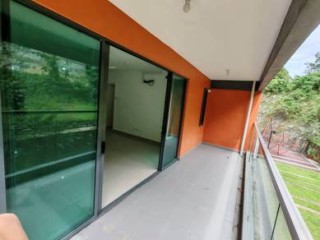 Photo #1