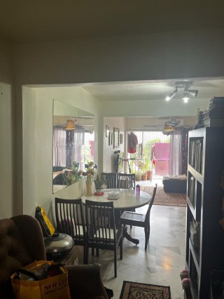 Photo #5