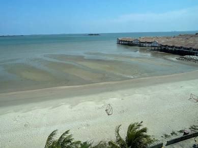 Photo #6