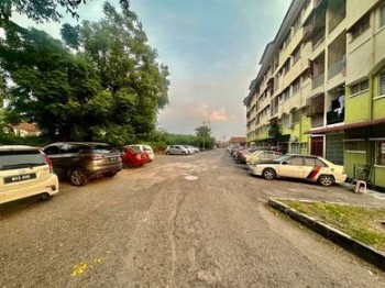 Photo #8