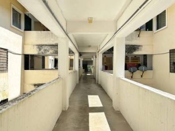 Photo #7