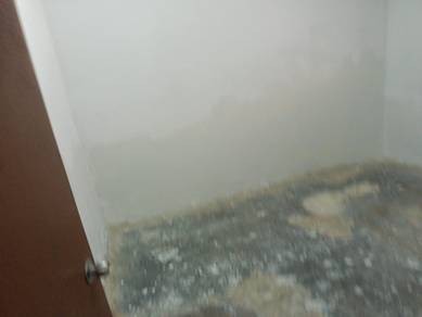 Photo #4