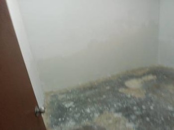 Photo #4