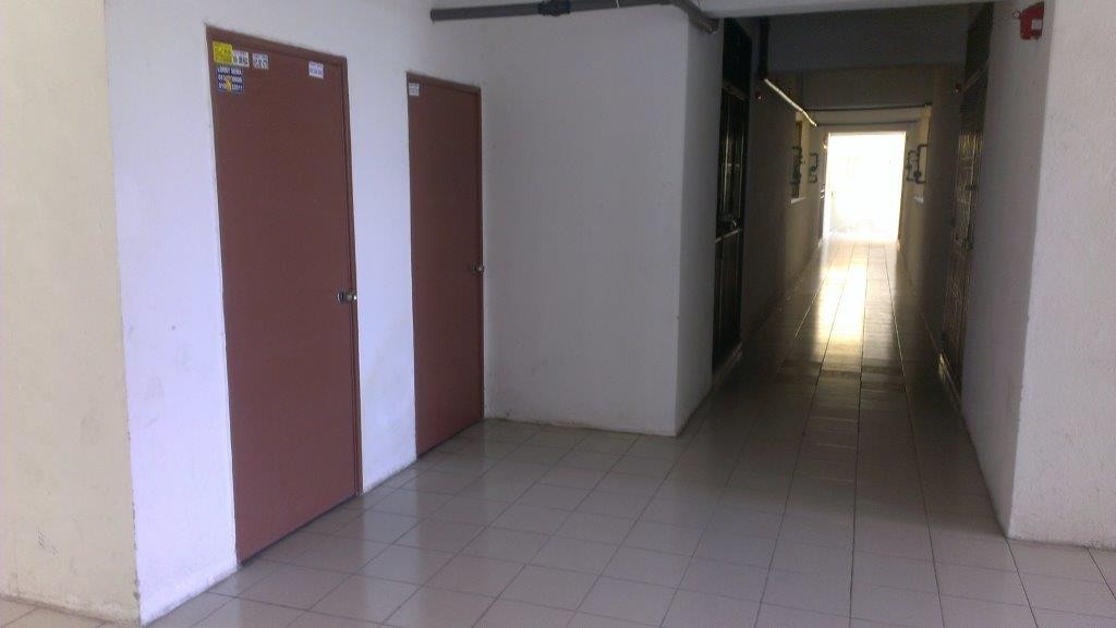 Photo #5