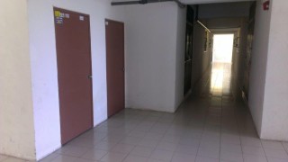 Photo #5