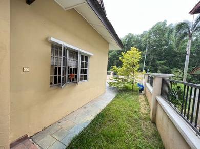 Photo #3