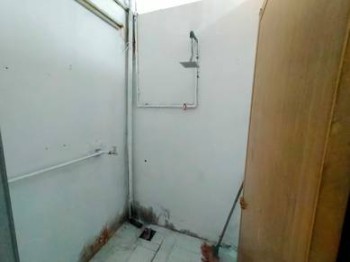 Photo #6