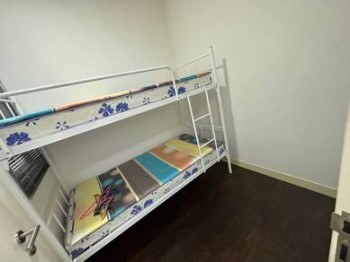 Photo #8