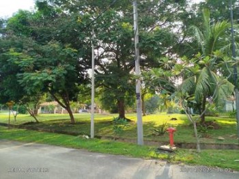 Photo #2