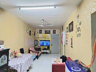 Foto #1