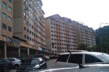 Photo #1