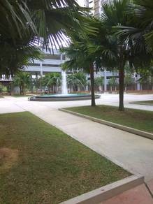 Photo #1