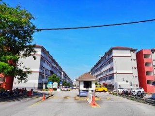 Photo #1