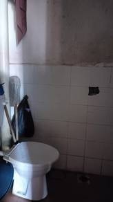Photo #6