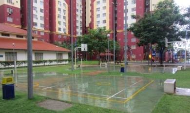 Photo #10