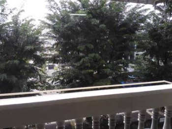 Photo #3