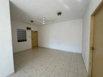 Photo #4