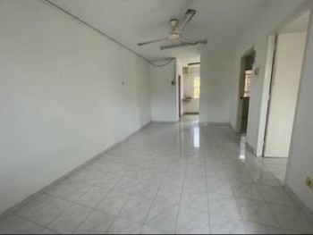 Photo #5