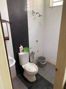 Photo #8