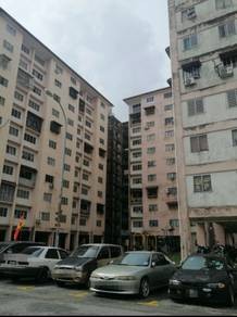 Photo #1