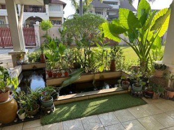 Photo #10
