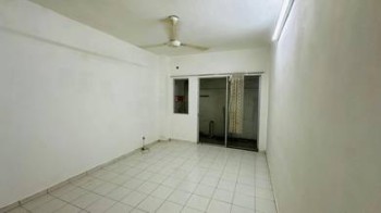 Photo #8