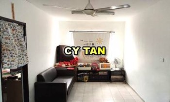 Photo #8