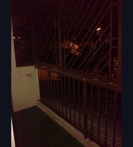 Photo #5