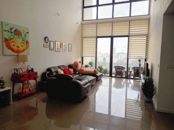 Photo #5