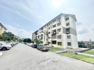 Photo #1