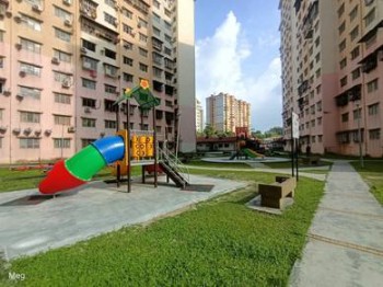Photo #10