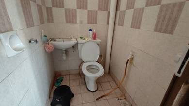 Photo #8