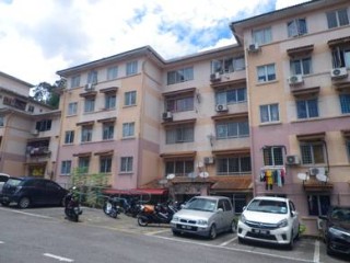 Photo #1